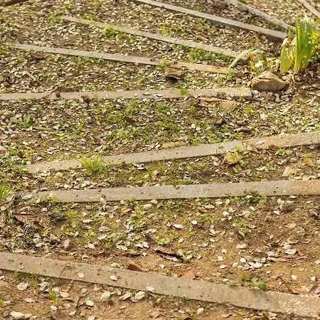 Villa Quintinha De Casal Macas de Dona Maria