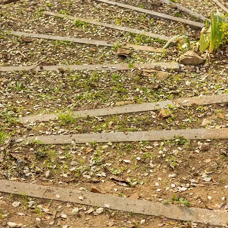 Villa Quintinha De Casal Macas de Dona Maria